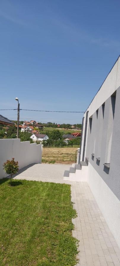 Vila Andrea Oradea Extérieur photo