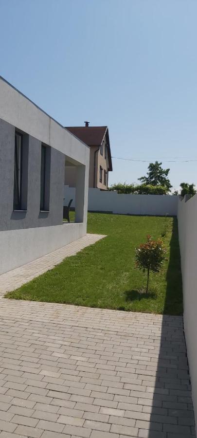Vila Andrea Oradea Extérieur photo