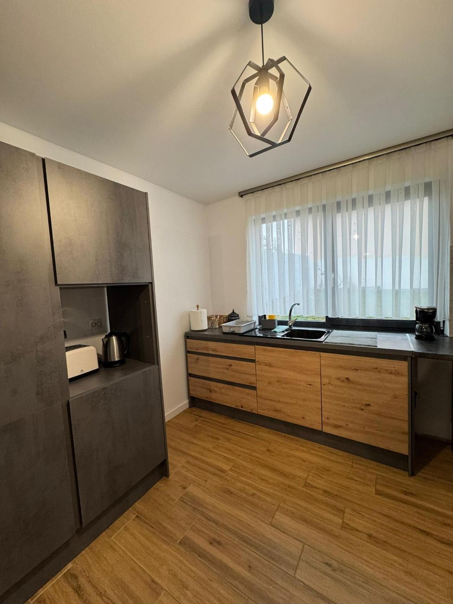 Vila Andrea Oradea Extérieur photo